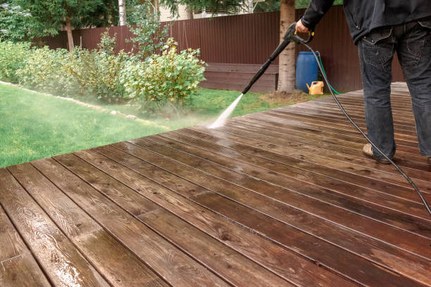 Best Fence Cleaning  in Havana, IL
